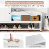 Shoe Storage Bench w/ Cabinet 10 Pair of Shoe and Cushion for Entryway Home Hall