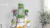 9-Tier Metal Plant Stand Garden Shelves Pot Holder Display Rack Storage