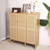 Large Tall Shoe Cabinet 3 Rattan Doors Accent Shoe Cabinet Rack with Side Hooks