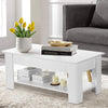 Wooden Lift Up Top Coffee Table With Storage Shelf Living Room Home Office White