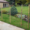 Permanent Garden Fencing-Panels-Dog Barrier Fence Poultry Pen-Various Heights