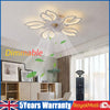 LED Ceiling Fan Light Dimmable Chandelier Living Room Lamp With Remote Sigkeoxit