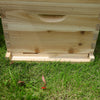 2 Tier Langstroth Beehive Box Beekeeping Honey Wooden Bee Hive Beekeeper Tool