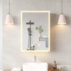 LED Bathroom Mirror Cabinet with Lights Touch Switch 3 Colors LED with Storage