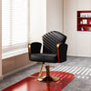 Professional Salon Chair, Barber Chair with Hydraulic Pump Ergonomic Backrest