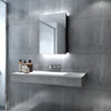LED Bathroom Mirror Black Cabinet with Shaver Socket 500x700 Single Door Button