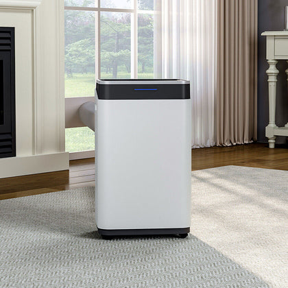 20L/Day Dehumidifier with Digital Humidity Display, Sleep Mode，Drying Mode Home