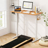 Electric Standing Desk 120x60cm Height Adjustable Desk Computer Desk-Natural