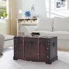 Vintage Treasure Chest Wood Brown Storage Cabinet Box Trunk vidaXL