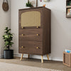 Modern Rattan Sideboard 2 Drawer Storage Cabinet Organizer Cupboard Living Room
