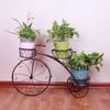 Tricycle Planter Chic Metal Plant Stand Baskets Bicycle Garden Bike Flower Pot