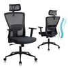 Ralex-chair Ergonomic Office Chair, Desk Chair with Adjustable Headrest, Black