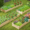 Rectangular Plant Container Elevated Planting Bed with 2 Planter Boxes-Natural