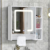 Bathroom Cabinet With LED Light Mirror Storage Unit Touch Switch 2 Shelf Hanger