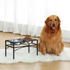 Raised Dog Bowls Pet Feeder Raised Elevated Stainless Steel Food Water Bowls