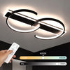 LED Ceiling Light Black Ceiling Lamp 38W Dimmable 3000K-6500K Living Room Fnpvad