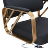 Height Adjustable 360° Swivel Barber Chair Hairdressing Chair for Hair Salon NEW