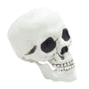 Halloween Decoration Skeleton Skull Bones Haunted Houses Party Scary Ornament UK