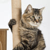Mondeer 184cm XXL Wooden Cat Tree Cat Towers 2 Cat Houses & 11 Scratching Posts