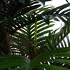 Large 180cm Faux Palm Tree Fake Artificial Green Plants Realistic Tree Garden UK