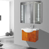 Wall LED Mirror Cabinet With Shelf Shaver Socket Demister Sensor Switch Bathroom