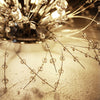 LED Ceiling Light Firework Pendant Vintage Lampshade Chandelier Crystal Droplets