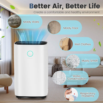 25L/Day Quiet Air Dehumidifier with Purifier, Timer, for Home Laundry
