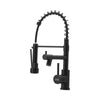 New Mono Pull Out Kitchen Mixer Tap Dual Spout Spray with Pull Down Spring Spout