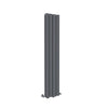 Anthracite Radiator Vertical Double Flat Panel Central Heating Tall Rad 1600x304