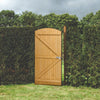 Arch Curved Top Fencing Door Garden Wood Gate Pedestrian Side Gate &Fitting Kit