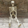 Poseable Full Life Size Human Skeleton 160cm Model Horror Bone Halloween Deco UK