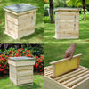 Langstroth/UK Beehive Box Wooden Bee Hive Frames Beekeeping Honey Brood Box Kit