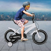 Kids Bike for 3-6 Year Old Boys Kid's Bicycle 14" with Removable Training Wheel