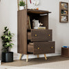 Modern Rattan Sideboard 2 Drawer Storage Cabinet Organizer Cupboard Living Room