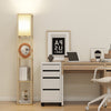 LED Floor Lamp Light Standing Reading Storage Shelf for Bedroom Living Room