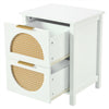 Rattan Wooden Bedside Tables Set of 2 Bedroom 2 Drawer Nightstand Side Tables