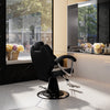 Rolling Swivel Salon Stool Chair with Back Support Adjustable Hydraulic Office