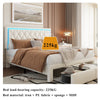 UPHOLSTERED BED WITH 2 DRAWERS STORAGE BED FRAME DOUBLE FOR ADULTS, TEENAGERS
