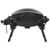Portable Gas BBQ Grill with Cooking Zone Black Freestanding Barbecue