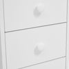 Mobile Manicure Table with Wrist Rest & 4 Drawer Station Beauty Nail Workstation