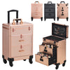Professional Makeup Case Cosmetic Trolley Hairdressing Nail Vanity Storage Box