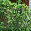 25m Welded Chicken Wire Mesh Fence Poultry Hutch Chicken Run Coop Pet Netting