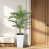 Large Artificial Palm Tree Faux Tropical Aralia Plants Green Natural 160cm 5.2ft