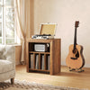 Record Player Stand, Large Wooden Vinyl Album Turntable Cabinet for Living Room