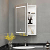 Bathroom Mirror Cabinet w/ LED Shelves Storage Illuminated Lights Wall Mounted