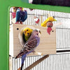 Wooden Bird Breeding Box Cage Nest Parrot Nesting House Lovebirds Finch UK
