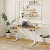 Electric Standing Desk Height Adjustable Sit to Stand Table Home Office 120x60cm