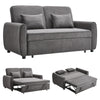 Double Seater Chair Bed Pull Out Sleeper Chair with Pillow Sofabed Recliner Sofa