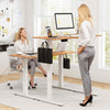 120 x 60cm Height Adjustable Desk Electric Standing Desk Home Office Natural
