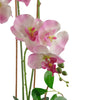 Artificial Orchid Glazed Planter Light Pink Green Glazed Planter 65cm